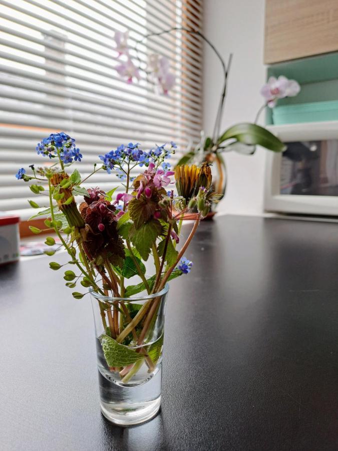 No°21 Apartman Szilvásvárad Екстериор снимка